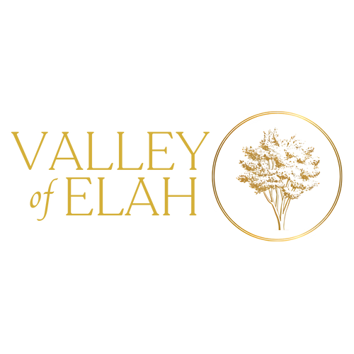 Valley of Elah Naturorganics Bodycare Ltd